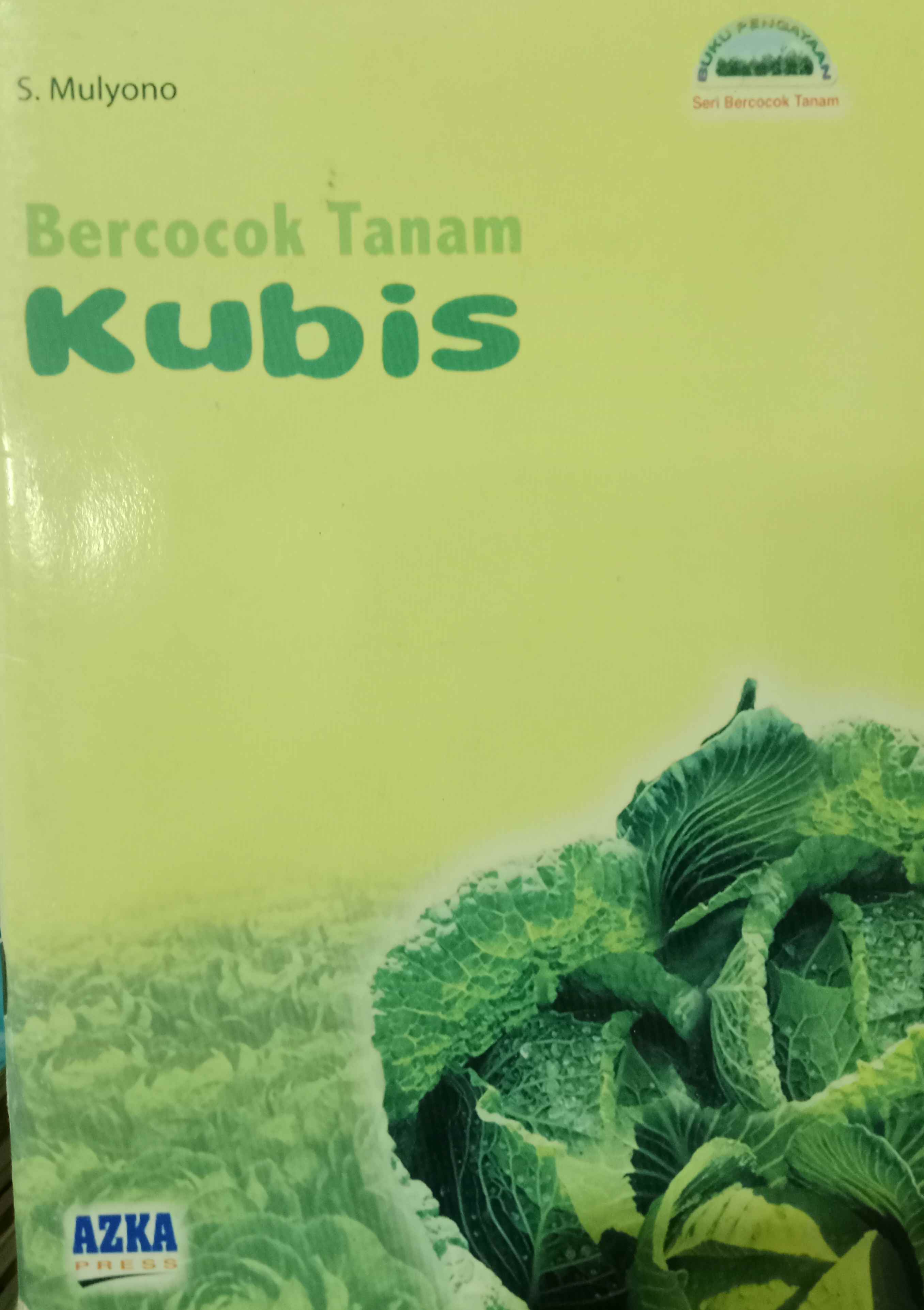 Bercocok Tanam Kubis