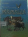 Mengerti Tentang Mamalia