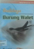 Budidaya burung walet