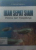 Ikan Sepat Siam, Potensi Dan Prospeknya