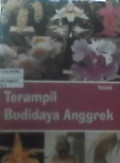 TERAMPIL BUDIDAYA ANGGREK