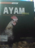 Beternak ayam buras.