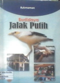 Budi daya jalak putih