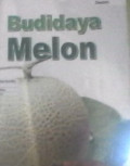 Budidaya Melon