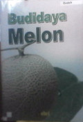Budidaya Melon