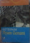 Beternak Ayam Cemani