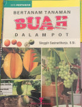 Bertanam tanaman buah dalam pot