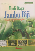Budi Daya Jambu Biji : Buah Multimanfaat